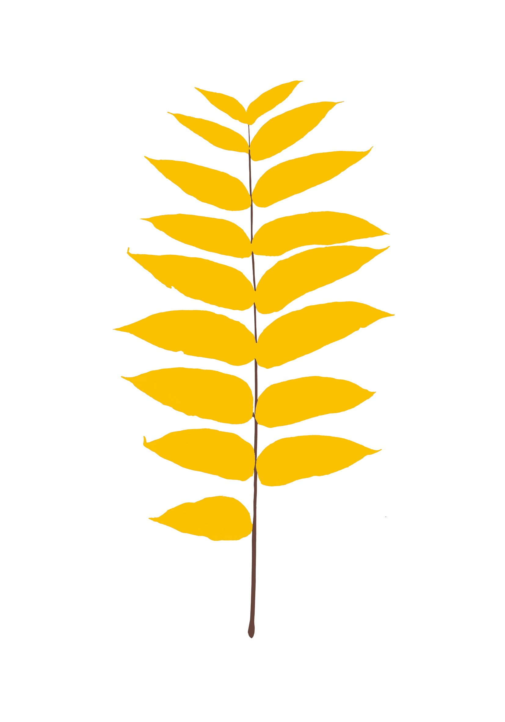 Leaves serigrafia