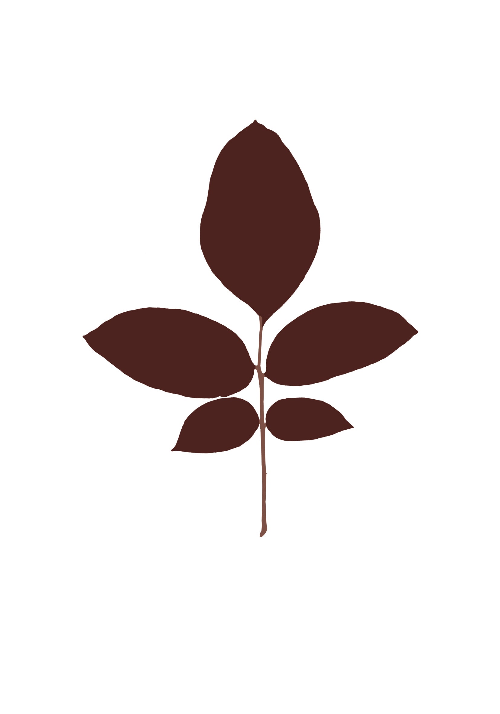 Leaves serigrafia
