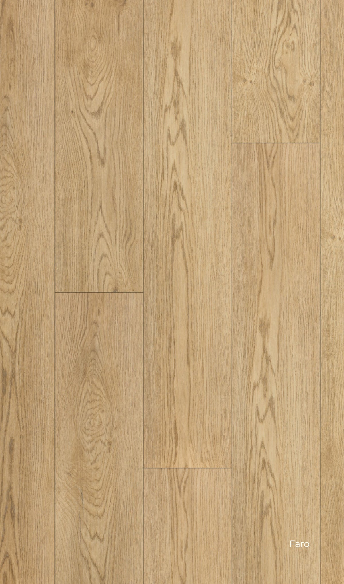 Pavimento in spc resistente all'acqua Star Kc Skema, effetto legno naturale con venature definite e tono medio