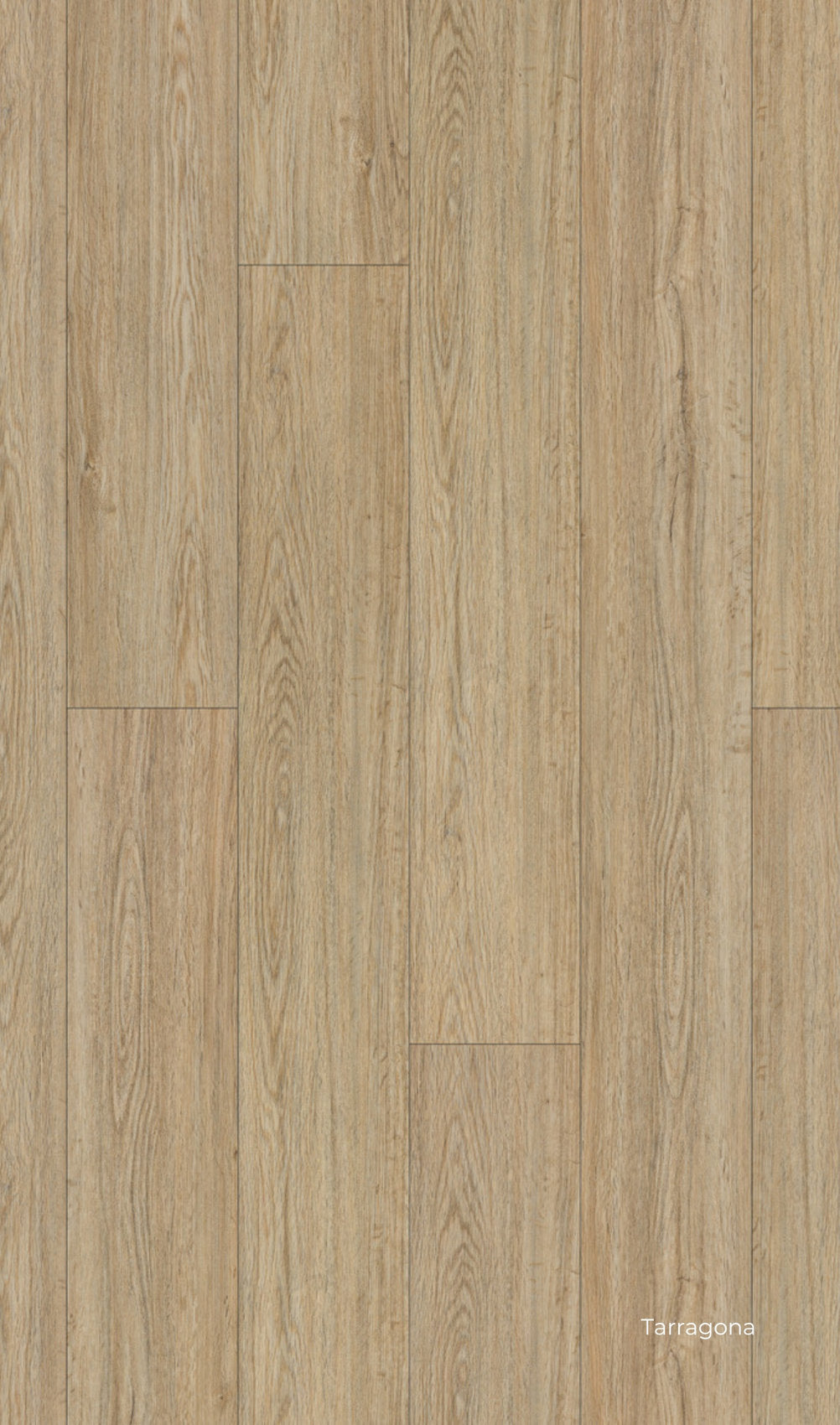 Pavimento in SPC impermeabile effetto legno Star K Skema , con tonalità sabbia e venature naturali