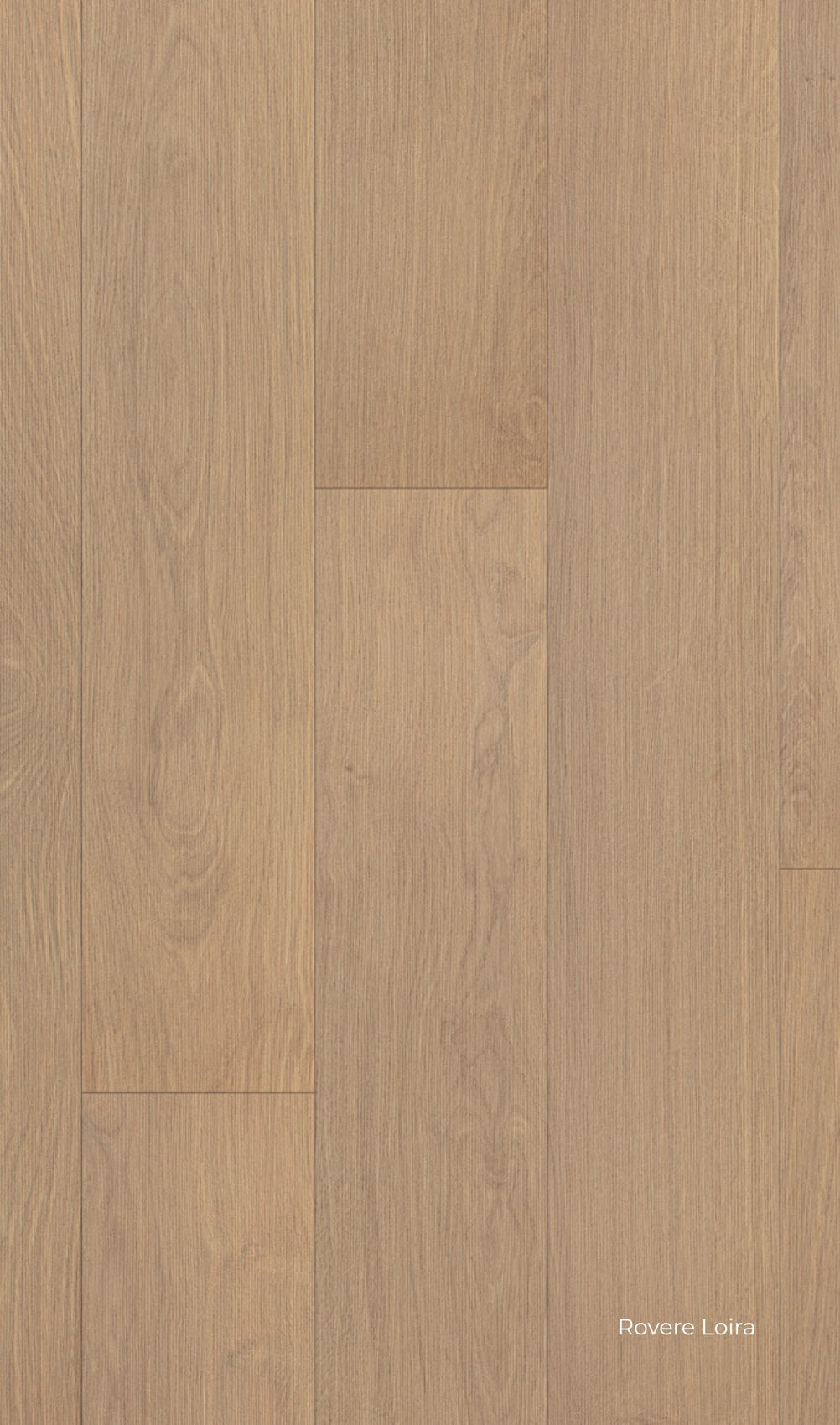 Pavimento in laminato effetto legno colore miele chiaro, Rovere Loira della gamma Facile+ di Skema