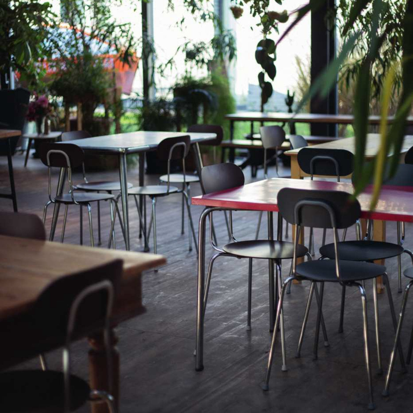 Sedie Mariolina Magis nere con struttura cromata in contesto contract ristorante