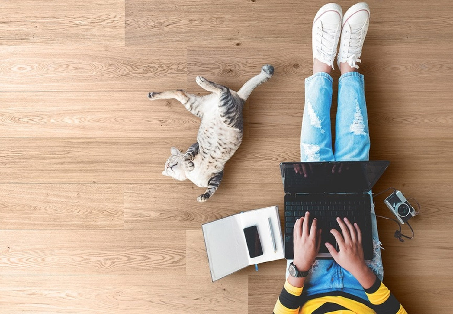 Persona seduta a terra accanto a un gatto, su pavimento in legno chiaro con venature visibili