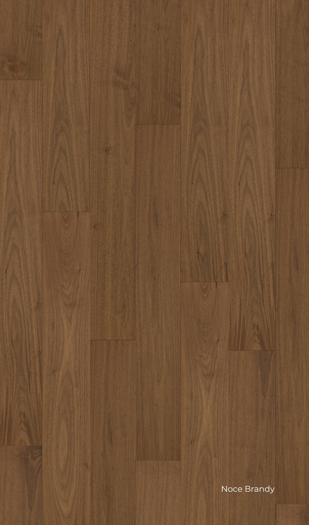 Pavimento SPC e legno vero Skema Star Wood, finitura Noce, con venature marcate e tonalità calda e profonda