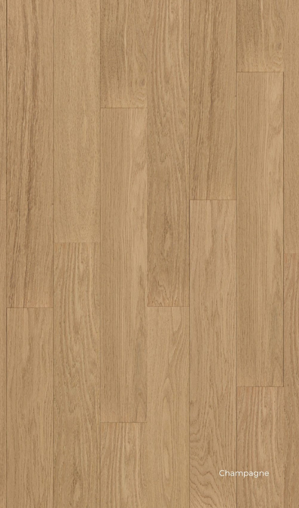 pavimento SPC e legno vero Skema Star Wood in finitura Rovere Champagne, tonalità chiara sbiancata e nordica