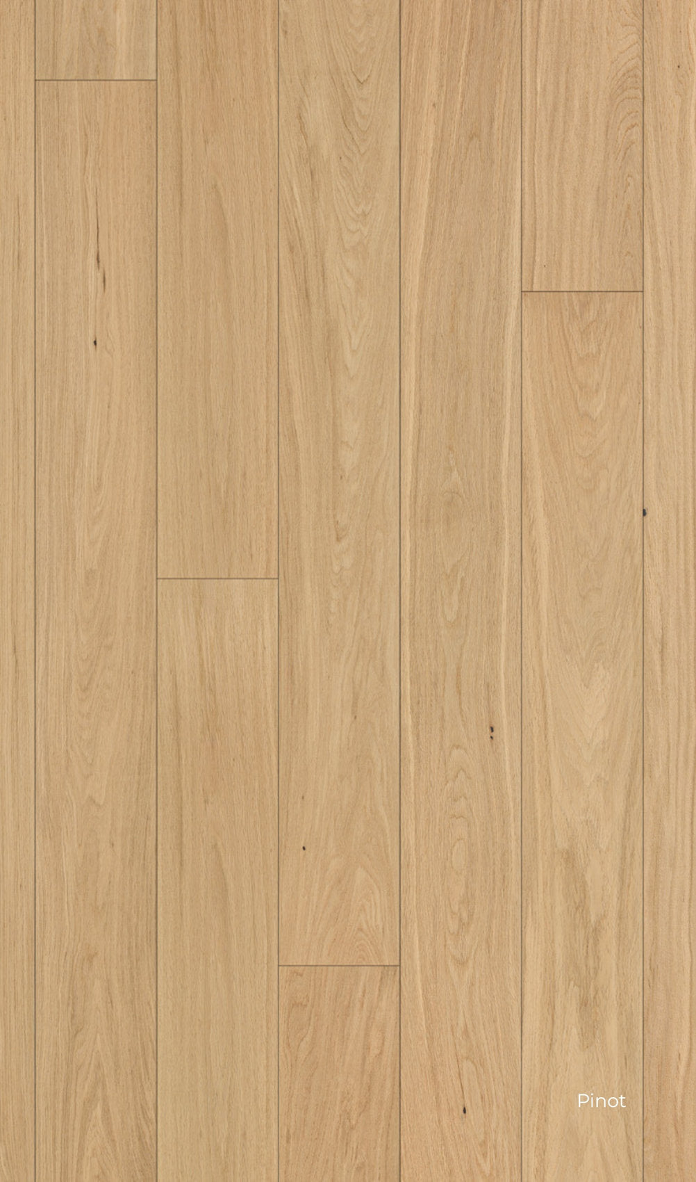 pavimento SPC e vero legno Star Wood Skema, con superficie chiara e venature delicate in legno naturale