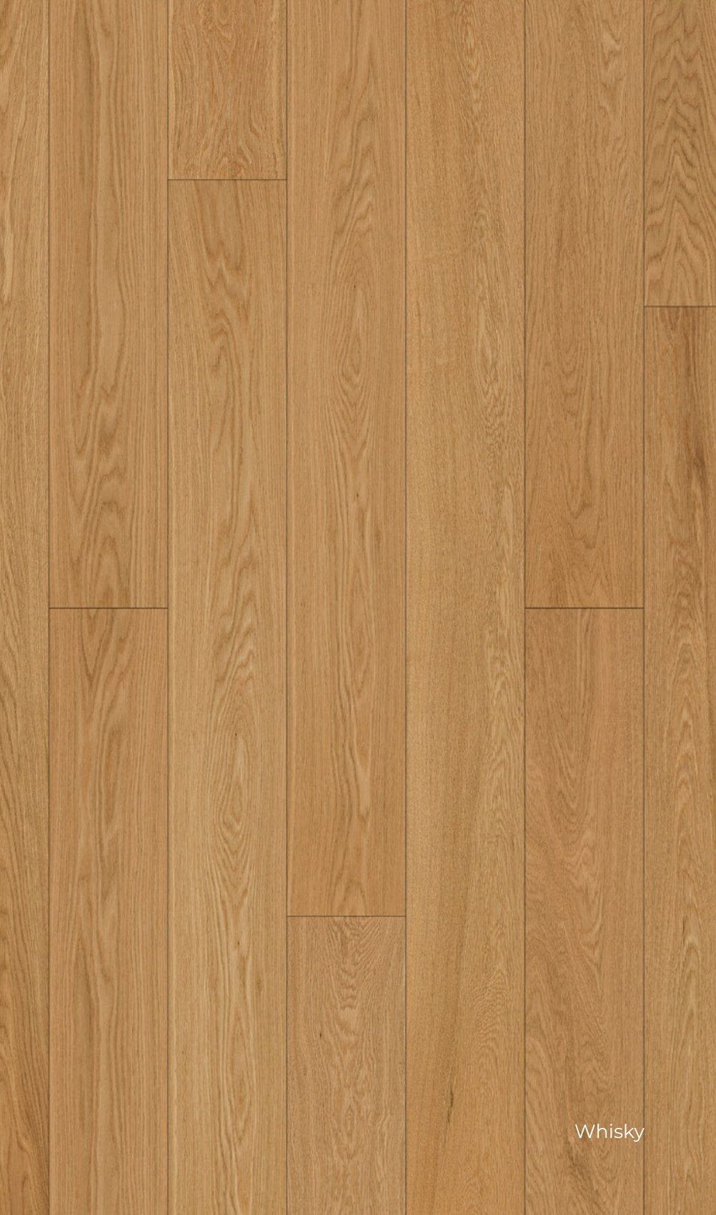 Pavimento spc e vero legnoSkema Star Wood in Rovere Whisky, con sfumature bionde e disegno venato chiaro e regolare