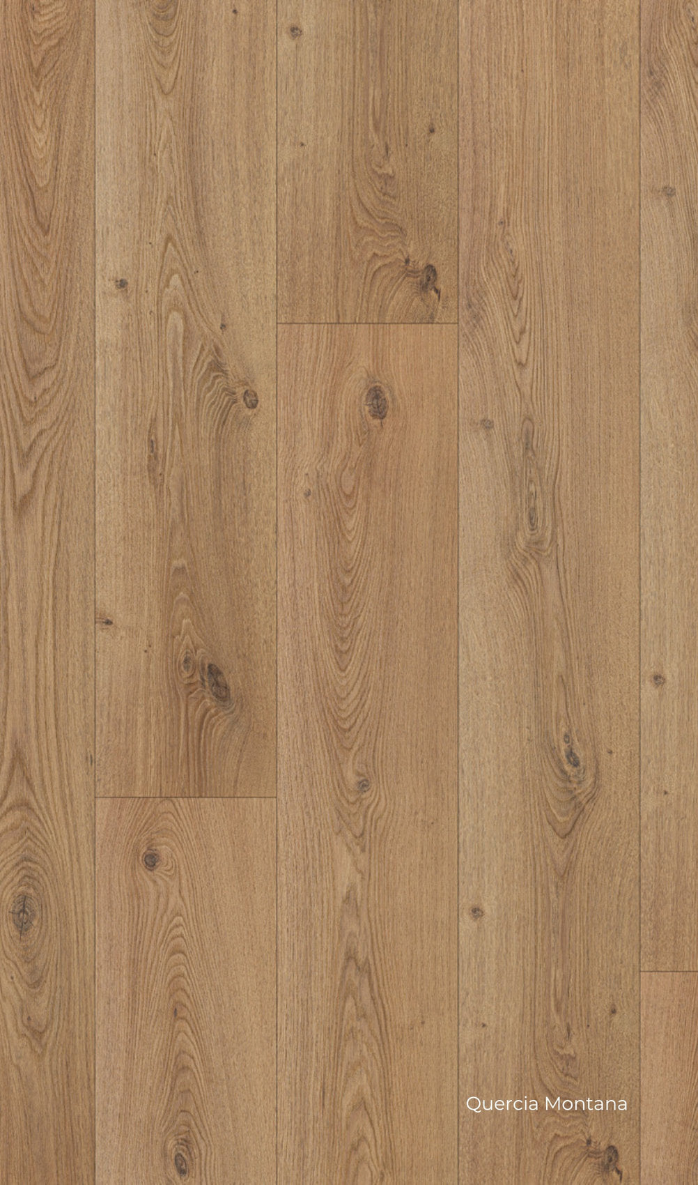 Pavimento laminato Prestige Gold Skema Quercia Montana, rovere chiaro con venature visibili 