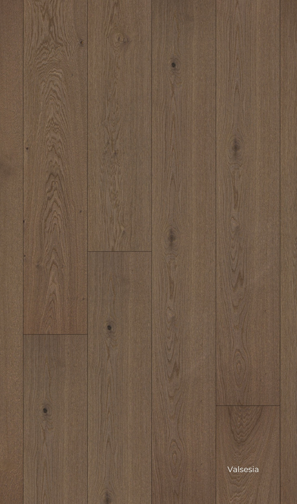 Pavimento Rovere Valsesia, collezione Lumbertech 270 Skema, con finitura scura e venatura decisa