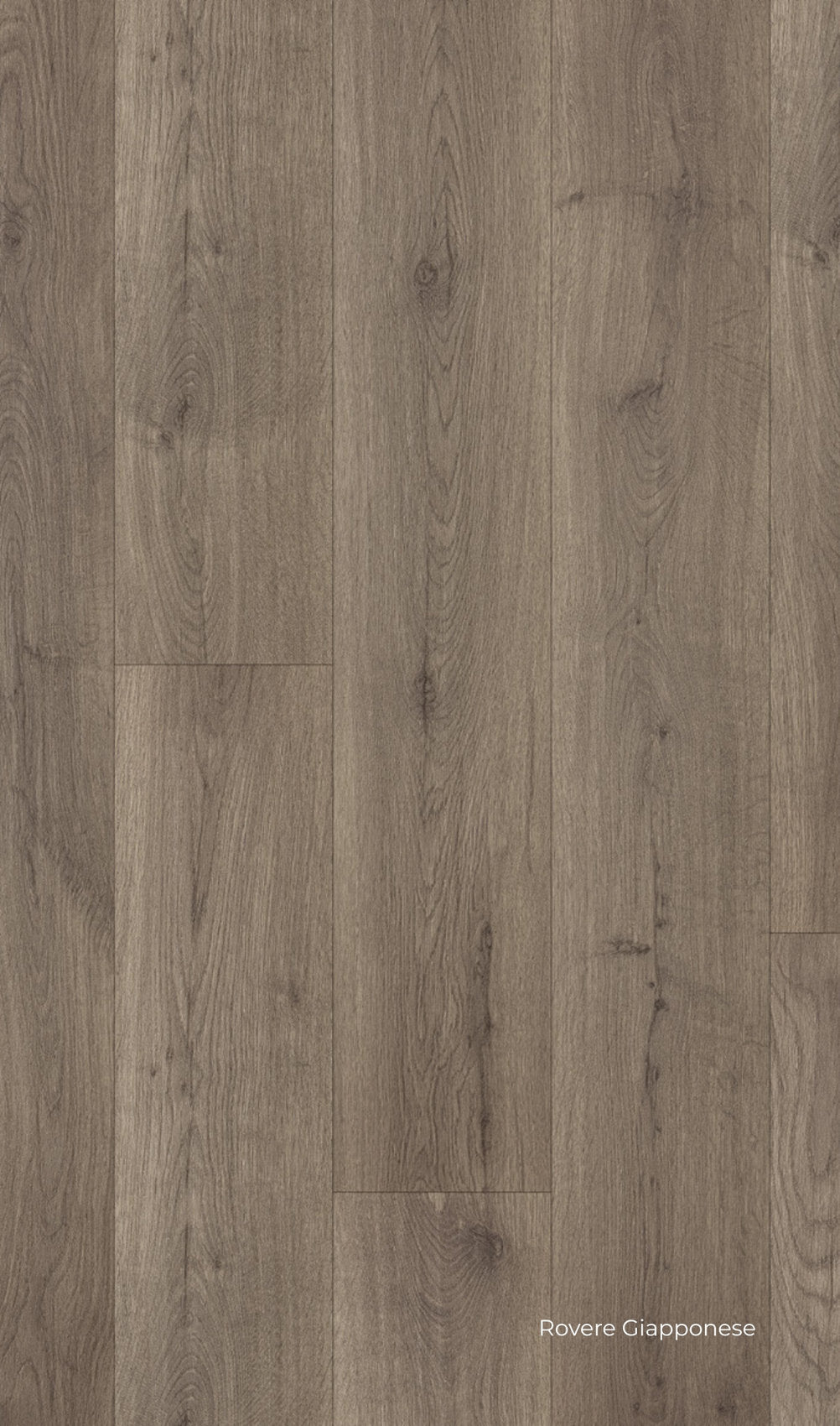 Rovere Giapponese pavimento laminato Prestige Gold Skema, finitura grigio-perlata con venature sobrie e continue.