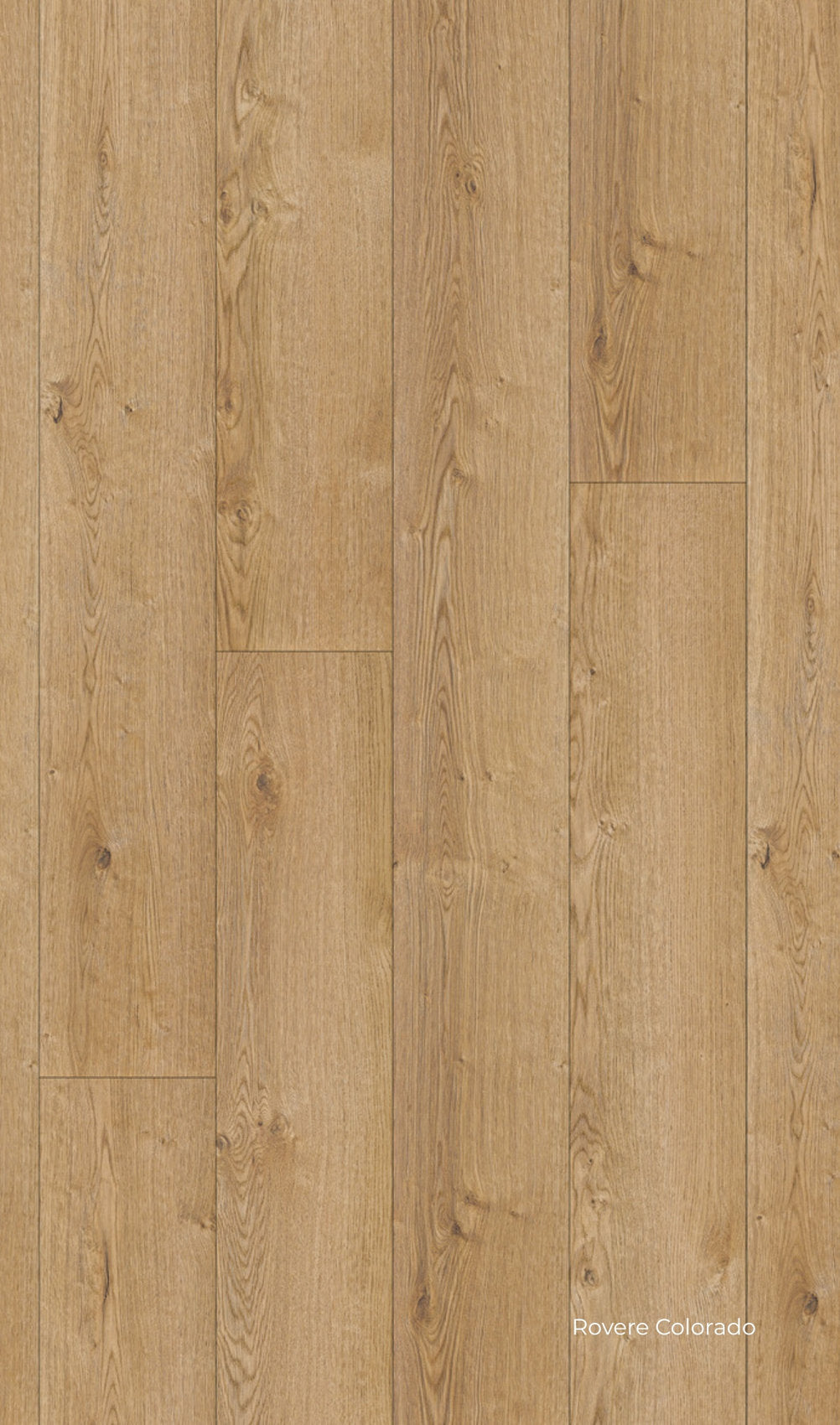 Pavimento laminato Skema K Uno Hydro Plus Rovere Colorado beige caldo con disegno del legno sobrio e continuo