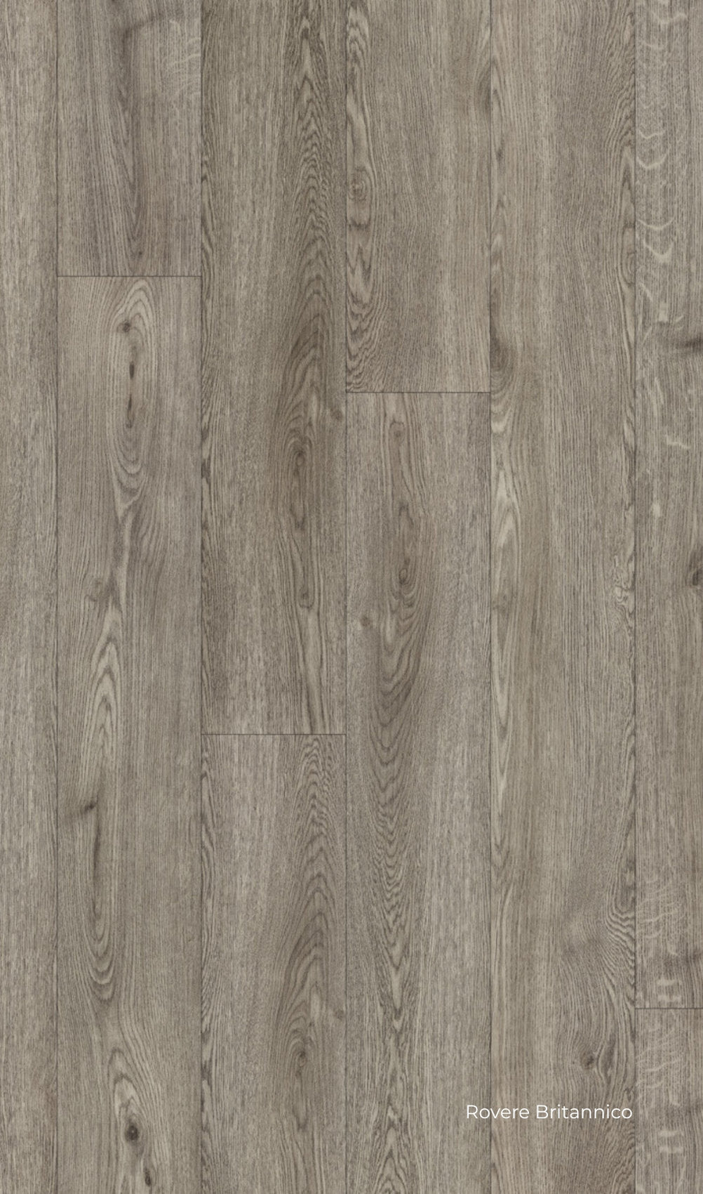 Skema pavimenti SPC effetto legno Connex Skema Rovere Britannico in legno grigio 