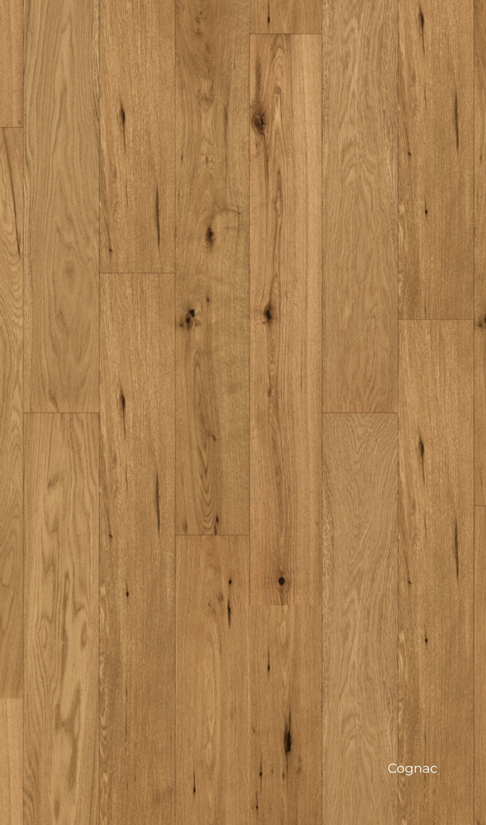 pavimento in spc e legno vero Skema Star Wood, finitura Rovere Cognac, con toni caldi e nodi naturali a vista