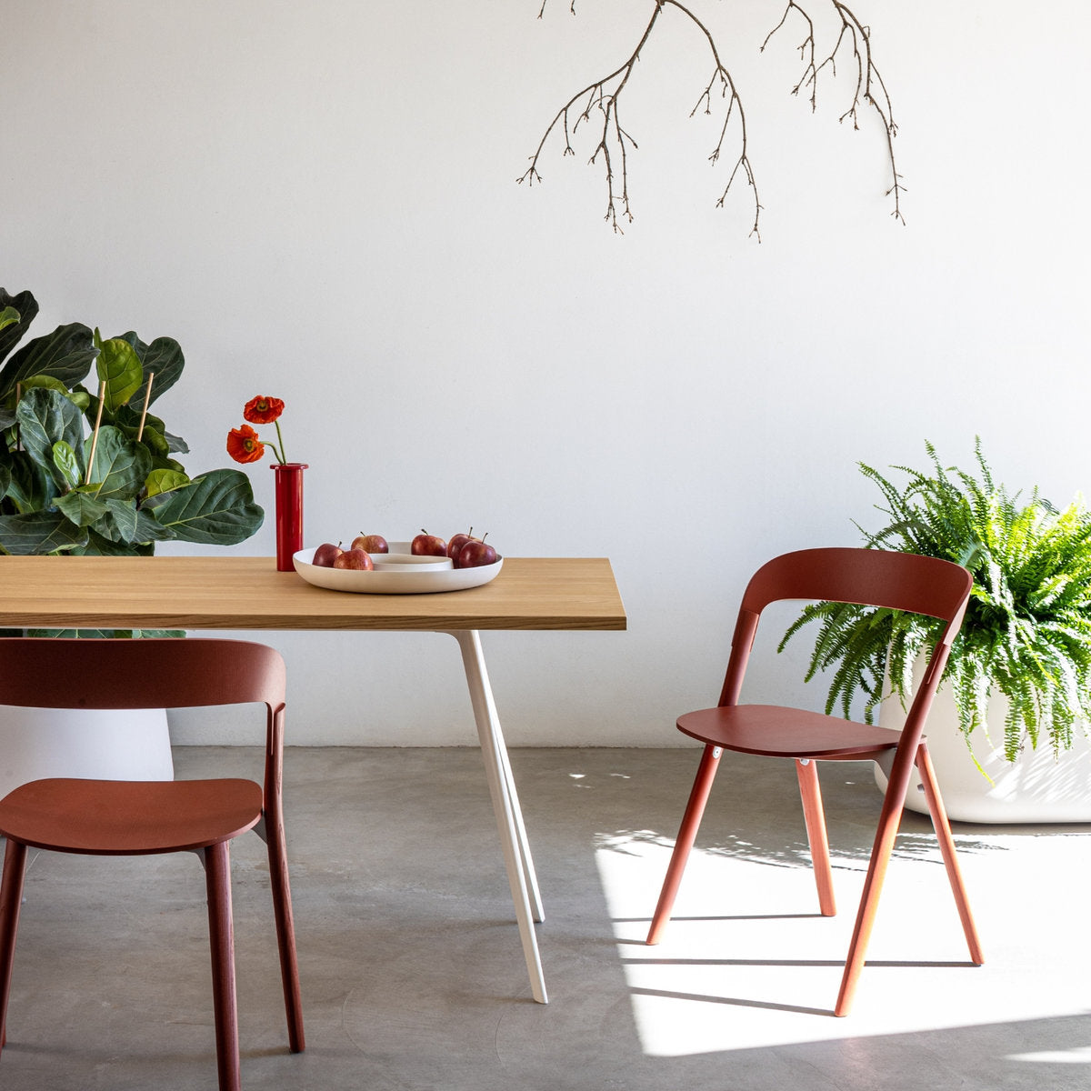 Tavolo rettangolare bianco e legno chiaro Baguette Magis con sedie rosse in contesto outdoor